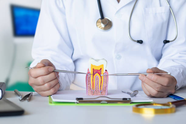 Best Weekend Emergency Dental Services in Romancoke, MD
